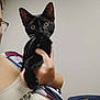 Inky is registered to the contest to win money with this photo: black_cat, kitten, pet, animal, person, hand, glasses, indoor, curious, young_cat, holding, whiskers, face_closeup, feline, domestic_cat, seated, chair, plain_background, casual_clothing, human