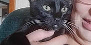 Inky is registered to the contest to win money with this photo: cat, black_cat, pet, indoor, person, glasses, hand, whiskers, close_up, holding, curious, alert, face, portrait, wallpaper, doorway, furniture, smile, cozy, domestic