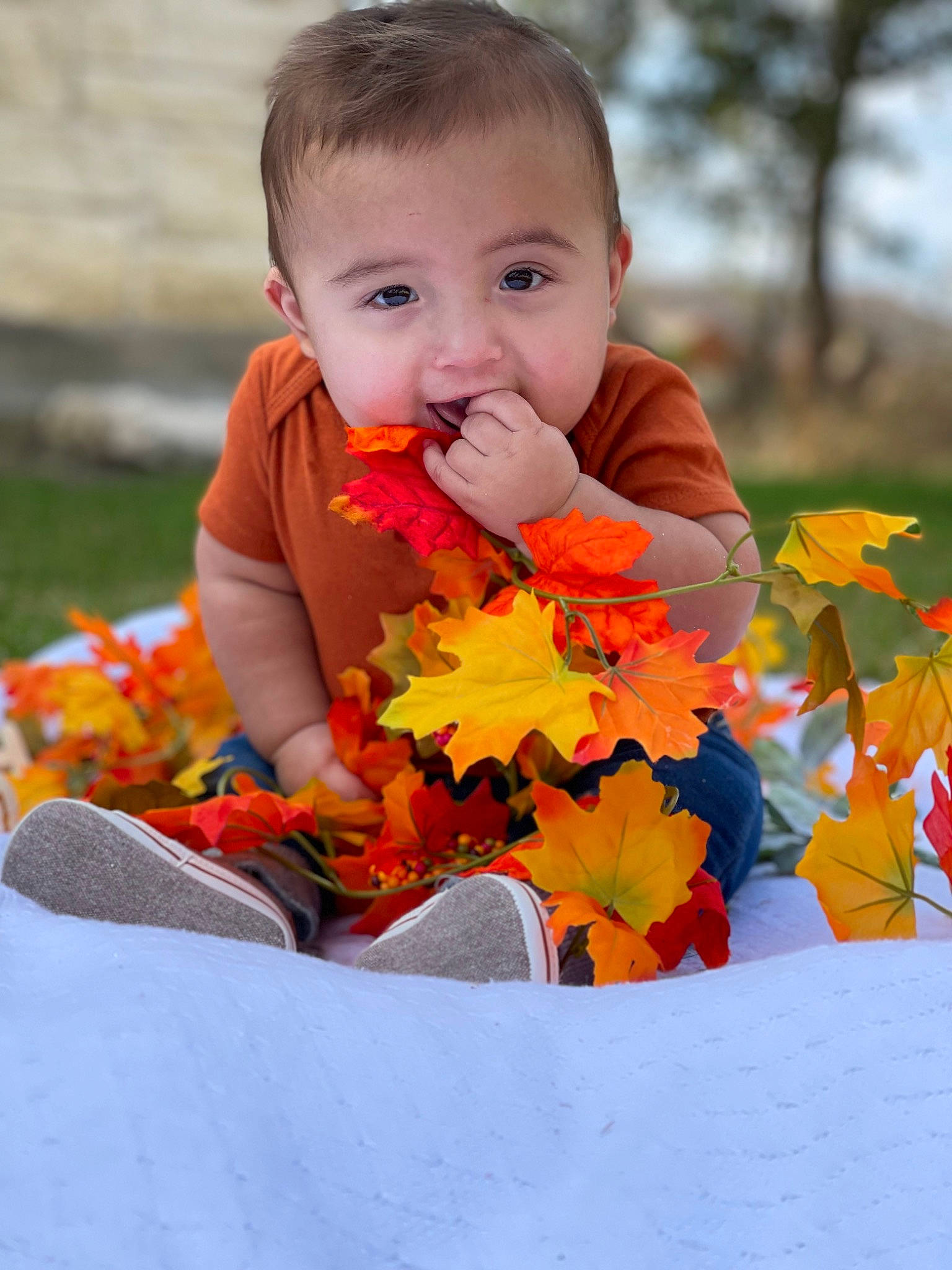 Jamison joined the competition — help win amazing prizes! autumn, baby, baby_toddler_clothing, cheek, child, deciduous, face, fun, grass, happy, leisure, orange, people_in_nature, person, plant, portrait_photography, sitting, spring, toddler, tree