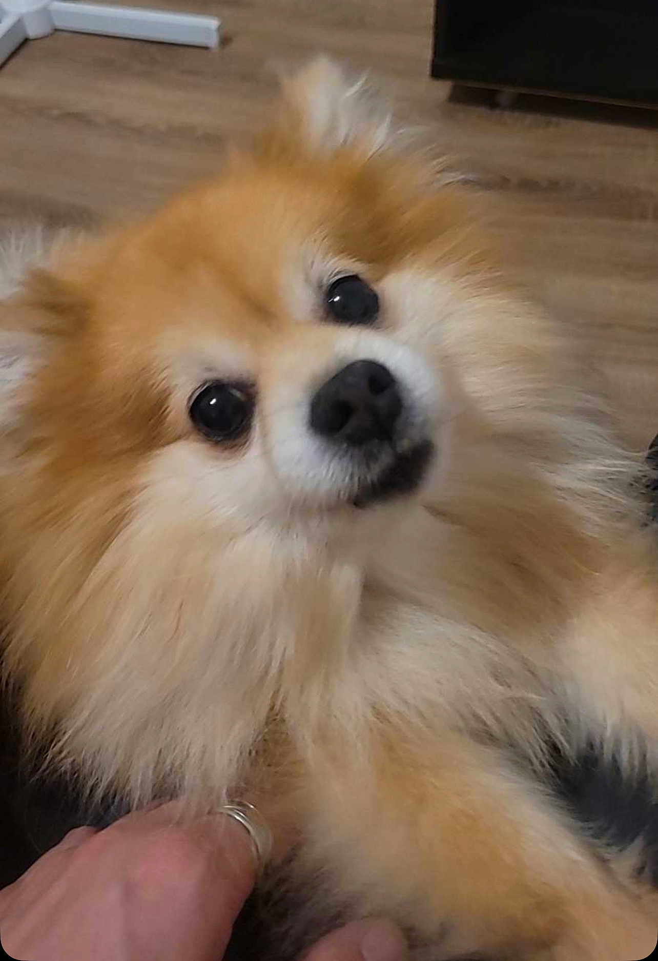 Caramel