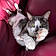 Minou