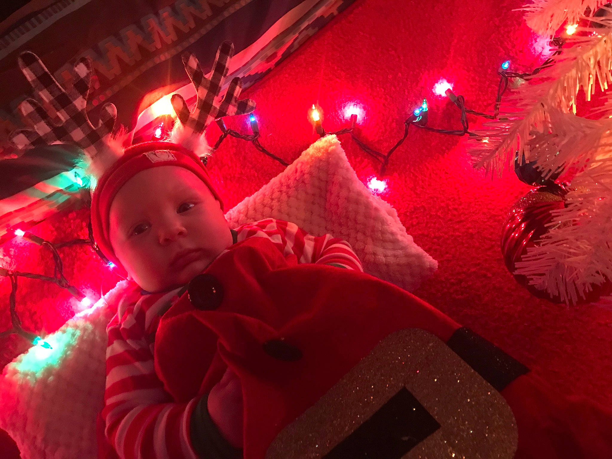 Kashton joined the competition — help win amazing prizes! automotive_lighting, christmas, christmas_decoration, christmas_eve, christmas_lights, christmas_ornament, decoration, event, fun, headwear, holiday, lap, light, lighting, magenta, ornament, person, plant, room, smile