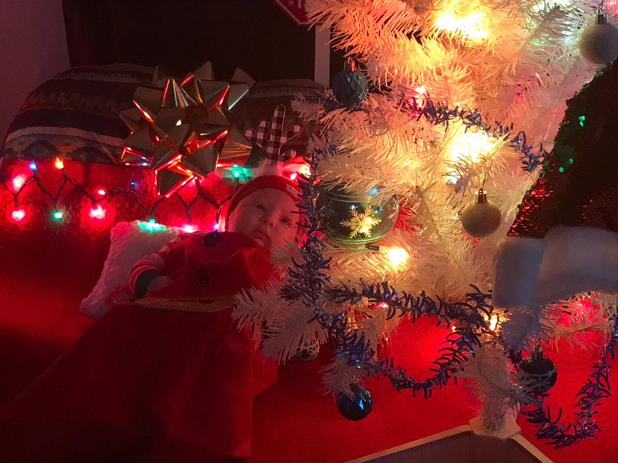 Kashton joined the competition — help win amazing prizes! carmine, christmas, christmas_decoration, christmas_eve, christmas_lights, christmas_ornament, christmas_tree, conifer, darkness, decoration, event, evergreen, holiday, holiday_ornament, midnight, organism, ornament, person, plant, space