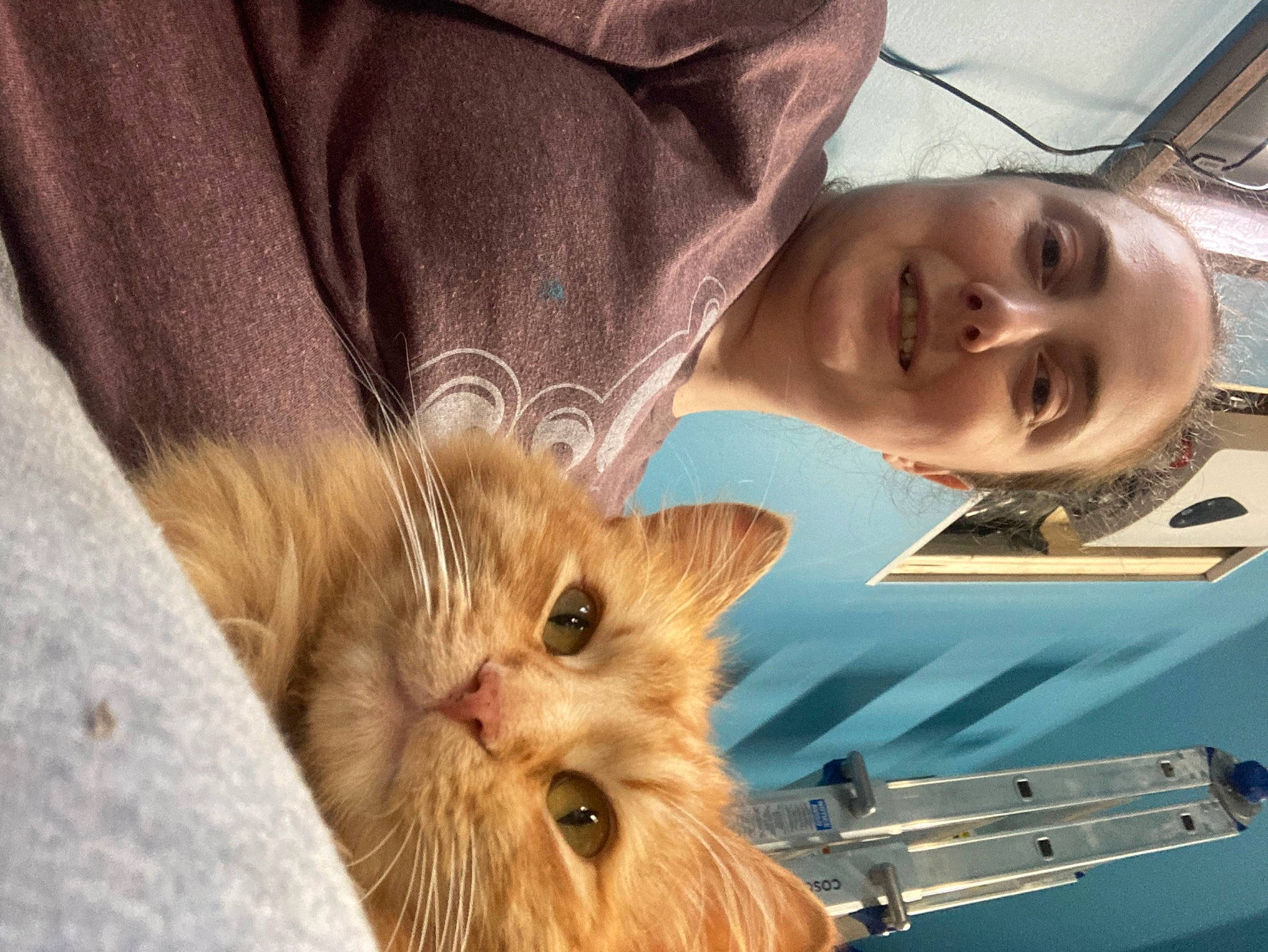 Milo is registered to the contest to win money with this photo: carnivore, cat, comfort, ear, eye, eyelash, facial_expression, fawn, felidae, hair, hairstyle, hand, head, human_body, iris, nose, skin, small_to_medium_sized_cats, smile, whiskers