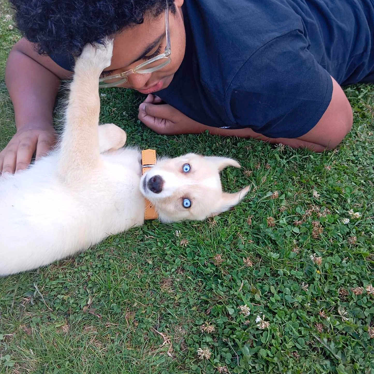 Arlo participe au concours pour gagner de l'argent avec cette photo : animal, blue_eyes, bond, casual_clothing, collar, curly_hair, cute, dog, friendship, glasses, grass, interaction, lying_down, nature, outdoor, person, pet, playing, puppy, young