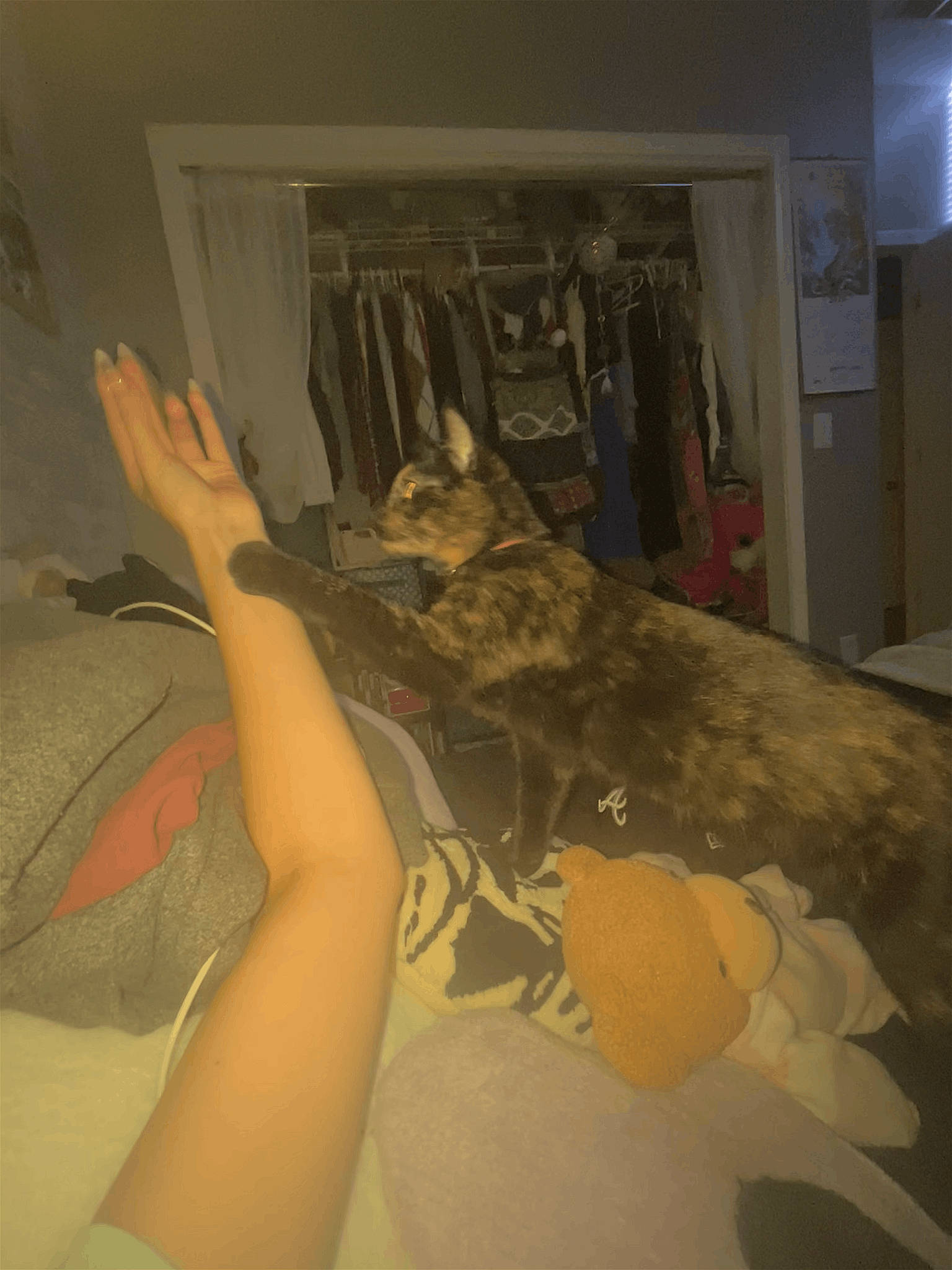 Vee joined the competition — help win amazing prizes! abdomen, art, barefoot, ceiling, chair, comfort, elbow, floor, flooring, foot, hardwood, house, human_leg, knee, linens, long_hair, sitting, thigh, trunk, wood