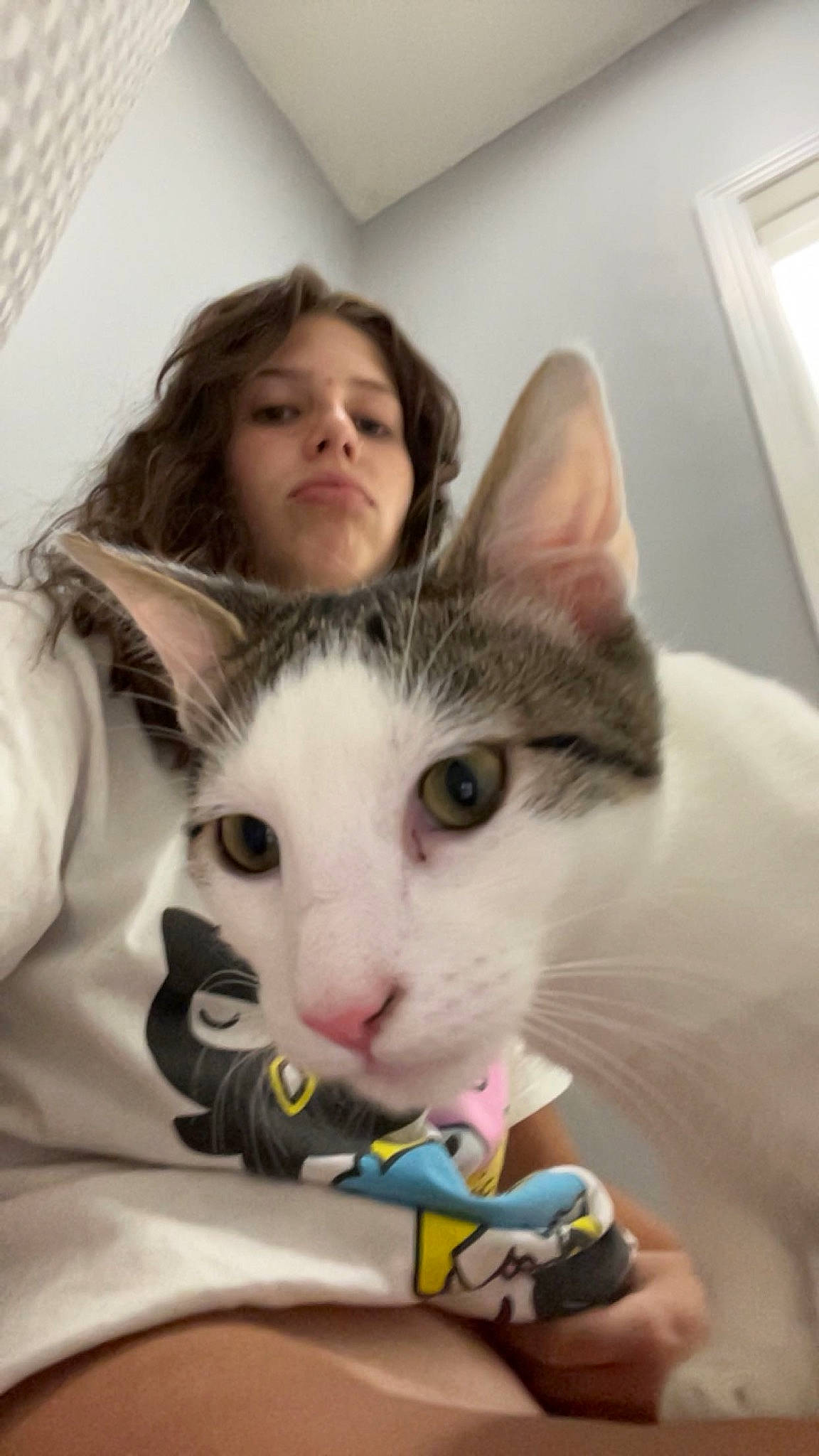 Griddy is registered to the contest to win money with this photo: carnivore, cat, child, comfort, domestic_short_haired_cat, ear, felidae, fur, lap, mammal, nail, nose, paw, selfie, sitting, small_to_medium_sized_cats, snout, whiskers