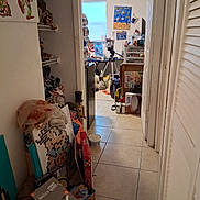 Loki is registered to the contest to win money with this photo: hallway, clutter, dog, tripod, floor_tiles, window, shelves, boxes, paintings, plastic_bag, furniture, camera, toy, door, wall, light, room, curious_dog, indoor, miscellaneous