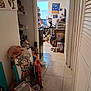 hallway, clutter, dog, tripod, floor_tiles, window, shelves, boxes, paintings, plastic_bag, furniture, camera, toy, door, wall, light, room, curious_dog, indoor, miscellaneous