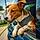 Buddy