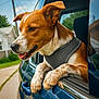 dog, car, window, outdoor, blue, sky, clouds, paws, fur, happy, pet, canine, nature, sunny, daylight, vehicle, road, reflection, collar, leash