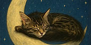 Little Dude joined the competition — help win amazing prizes! kitten, cat, sleeping, crescent_moon, night, stars, painting, illustration, whimsical, dreamy, fur, animal, cute, resting, dark_blue, yellow, fantasy, peaceful, soft, curled_up