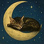 animal, cat, crescent_moon, curled_up, cute, dark_blue, dreamy, fantasy, fur, illustration, kitten, night, painting, peaceful, resting, sleeping, soft, stars, whimsical, yellow