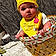 Desiree