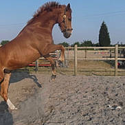 Rox participe au concours pour gagner de l'argent avec cette photo :