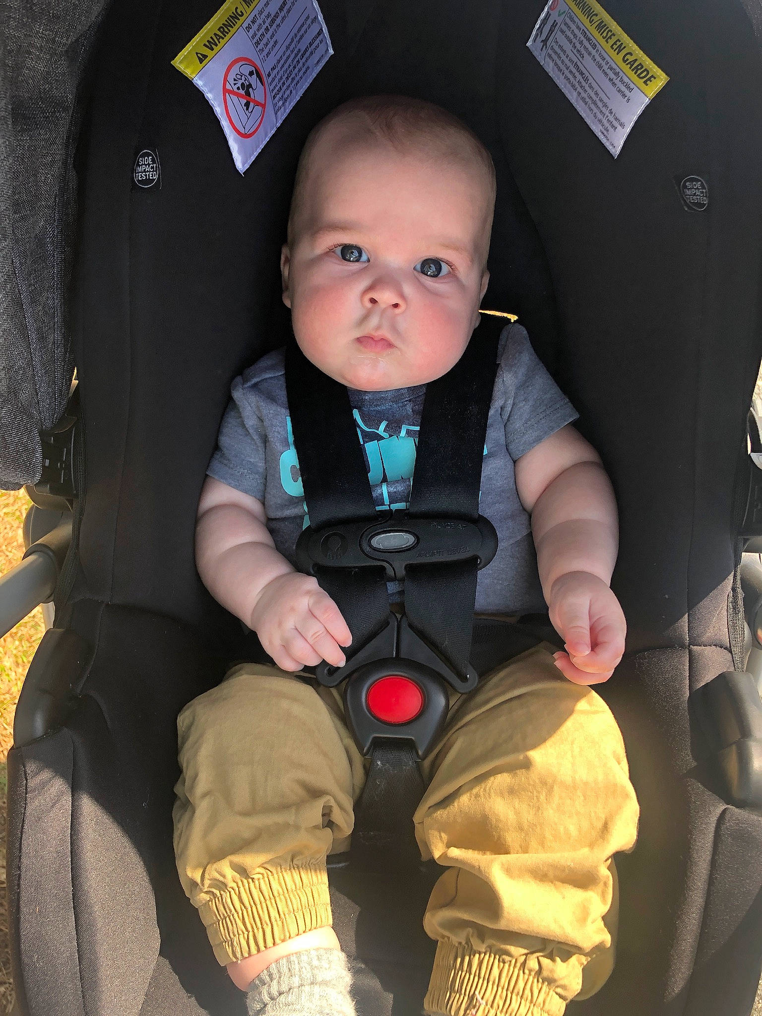 Adan joined the competition — help win amazing prizes! auto_part, baby, baby_carriage, baby_in_car_seat, baby_products, car_seat, car_seat_cover, child, person, personal_protective_equipment, product, seat_belt, sitting, toddler