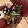 animal, bandana, brindle, casual, child, companion, couch, cute, dog, floor, furniture, home, indoor, pet, red_couch, relaxed, smiling, toddler, wooden_floor, young_child