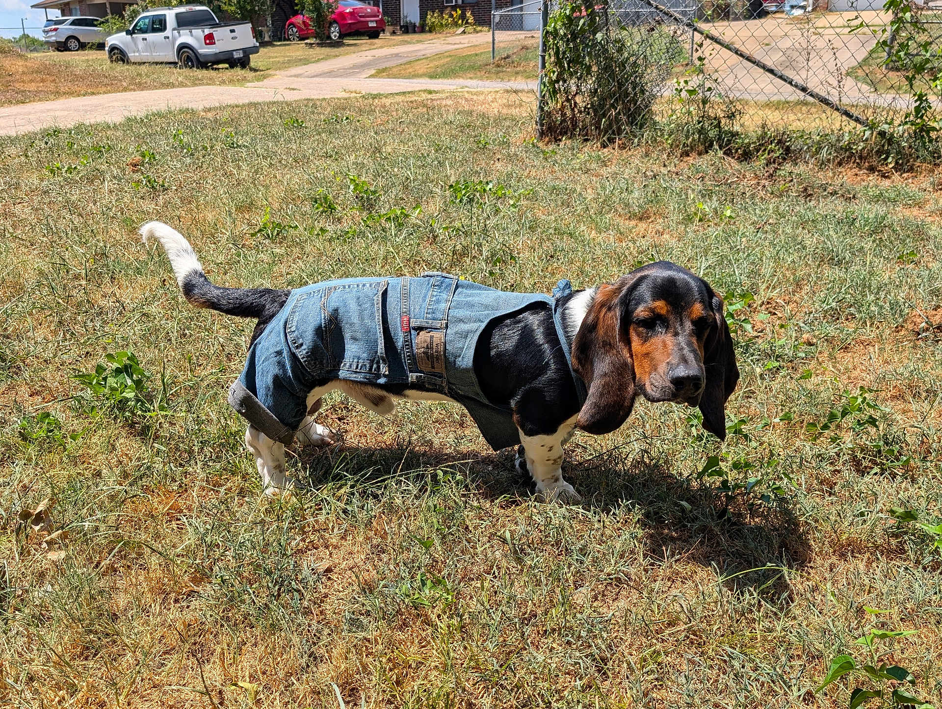 Cletus