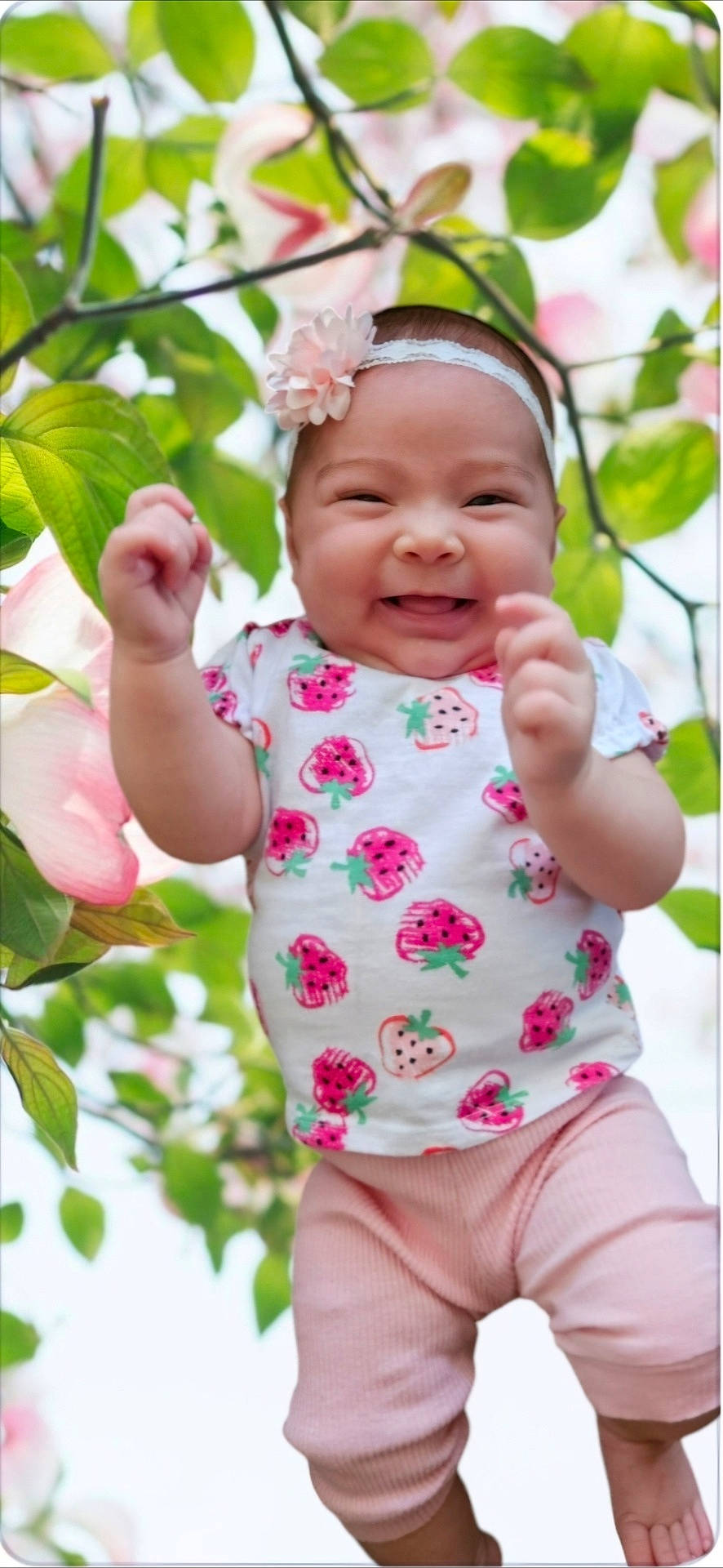 Glorianna is registered to the contest to win money with this photo: accessories, baby, bodypart, clothing, face, finger, flower, hand, happy, head, leaf, newborn, person, petal, photography, plant, portrait, rose, shorts, smile
