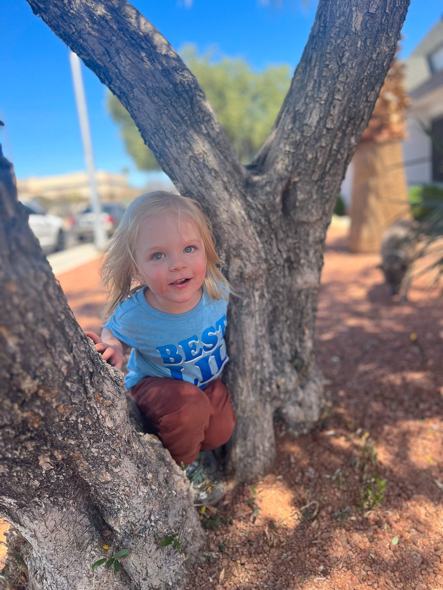 Jasper is registered to the contest to win money with this photo: baby, branch, electric_blue, fun, grass, happy, landscape, leaf, leisure, people_in_nature, person, plant, recreation, sitting, sky, smile, soil, toddler, tree, trunk