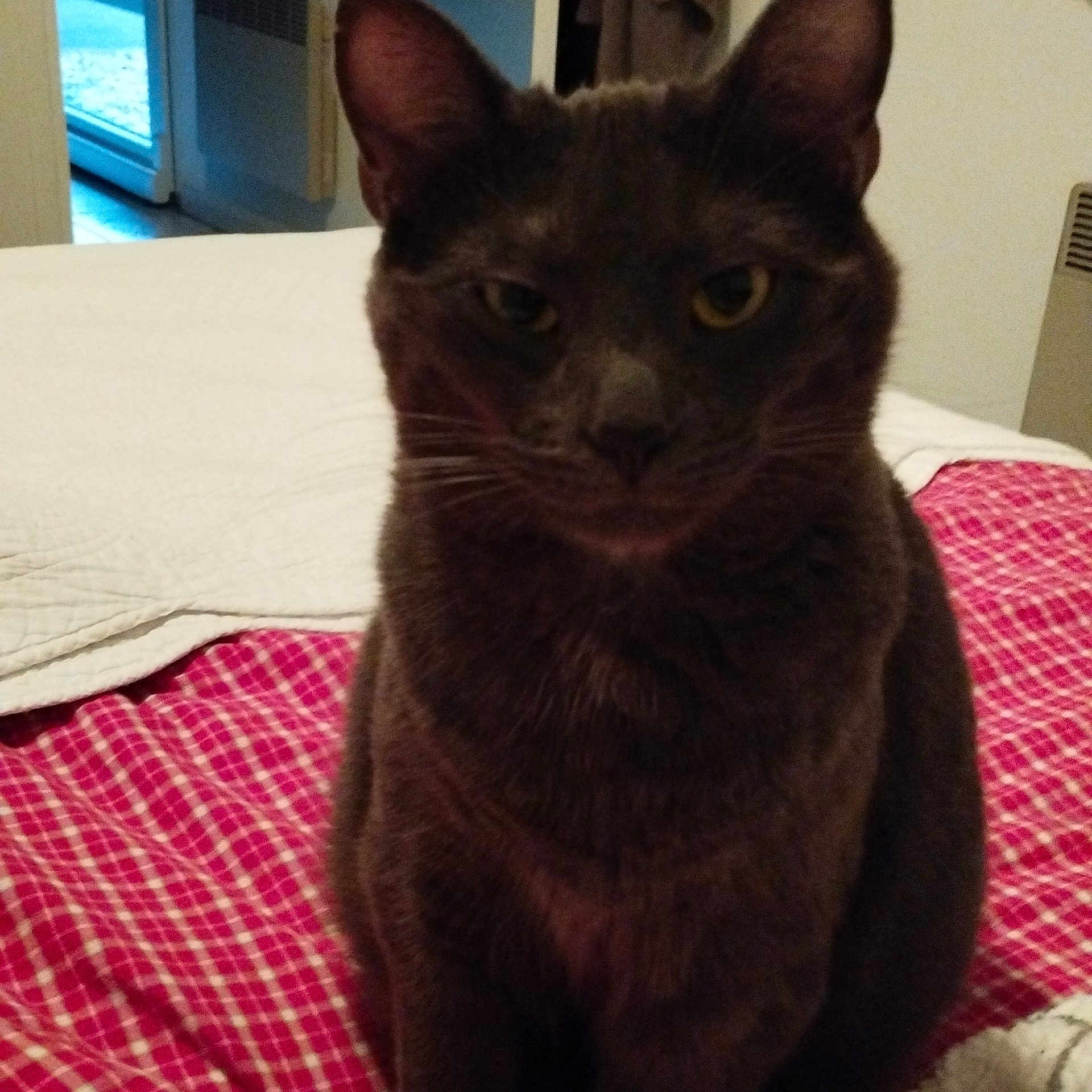 Charly