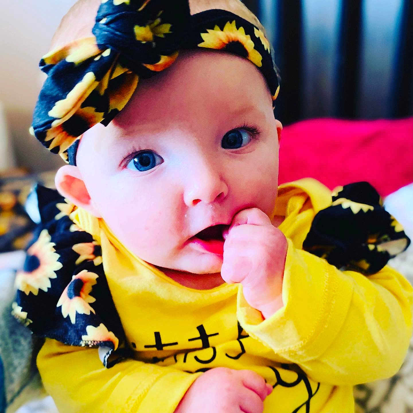 Cierra is registered to the contest to win money with this photo: baby, baby_toddler_clothing, cheek, child, fashion_accessory, hair_accessory, headband, headgear, plant, toddler, yellow
