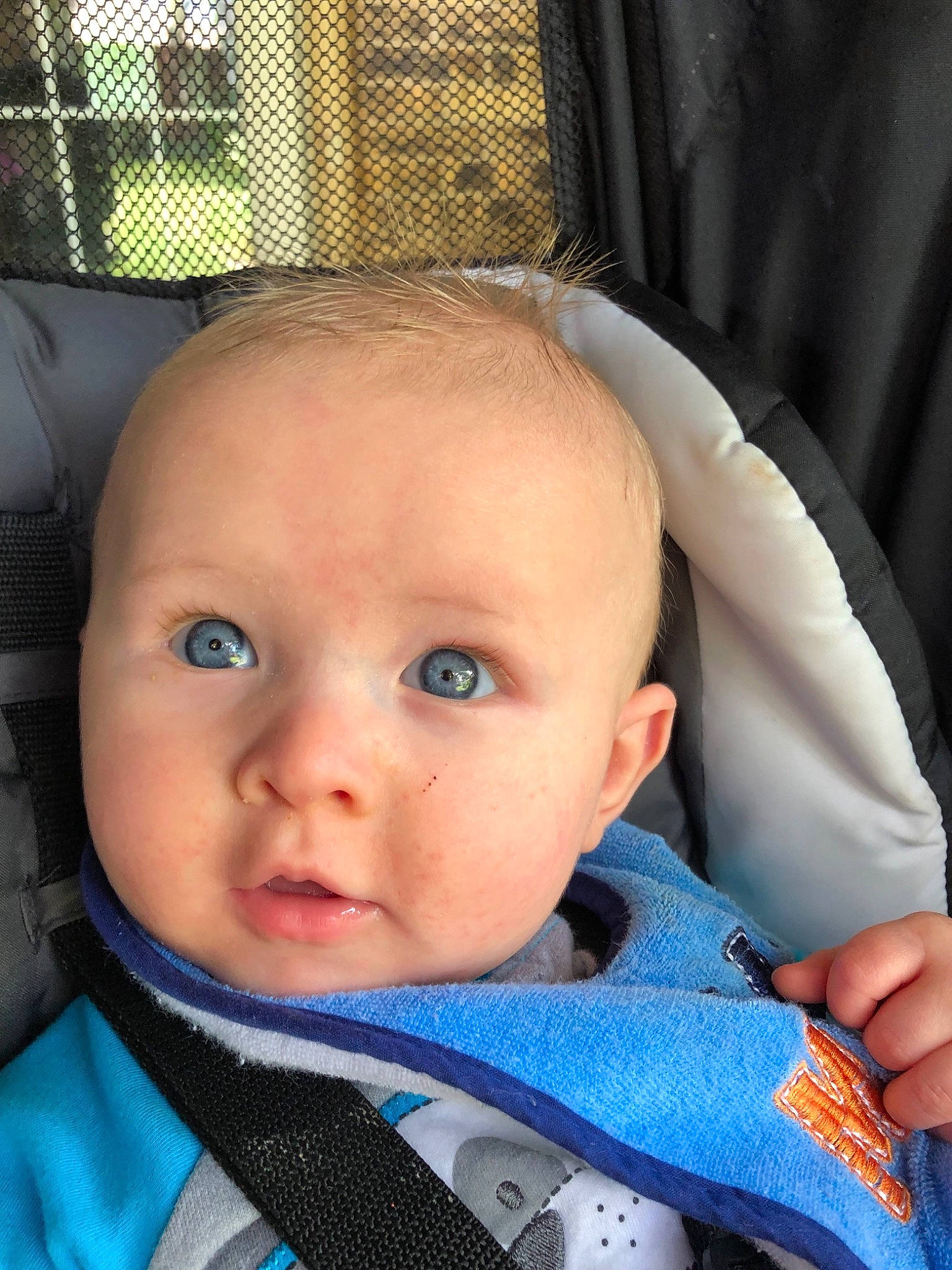 Lee is registered to the contest to win money with this photo: baby, baby_carriage, baby_in_car_seat, baby_products, cheek, child, chin, eye, eyebrow, face, finger, forehead, head, iris, lip, mouth, nose, person, product, skin