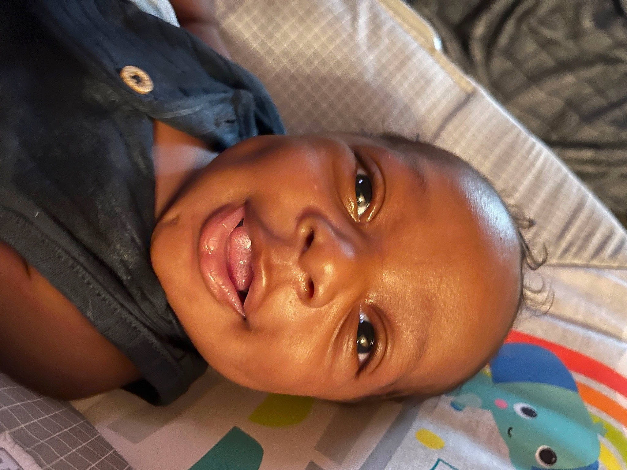 Carter Jay joined the competition — help win amazing prizes! baby, black_hair, cheek, child, comfort, eyelash, fun, happy, laugh, lip, mouth, nose, person, plant, portrait_photography, skin, smile, toddler, tree