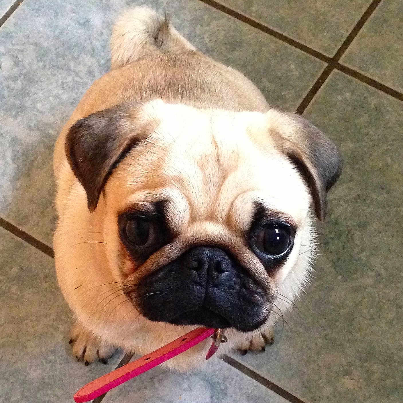 Maud is registered to the contest to win money with this photo: