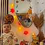 baby, balloons, child, curious, decorations, fall, festive, ghost, halloween, indoor, lantern, leaves, mirror, mushrooms, orange, owl, pajamas, pumpkin, string_lights, table