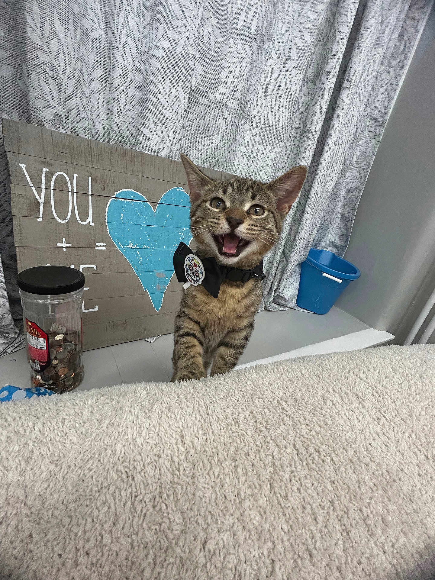 Boris is registered to the contest to win money with this photo: kitten, tabby_cat, bow_tie, indoor, curtain, wooden_sign, heart_symbol, coin_jar, blue_bucket, furniture, patterned_fabric, pet, cute, feline, playful, young_cat, smiling_cat, decor, household_item, background
