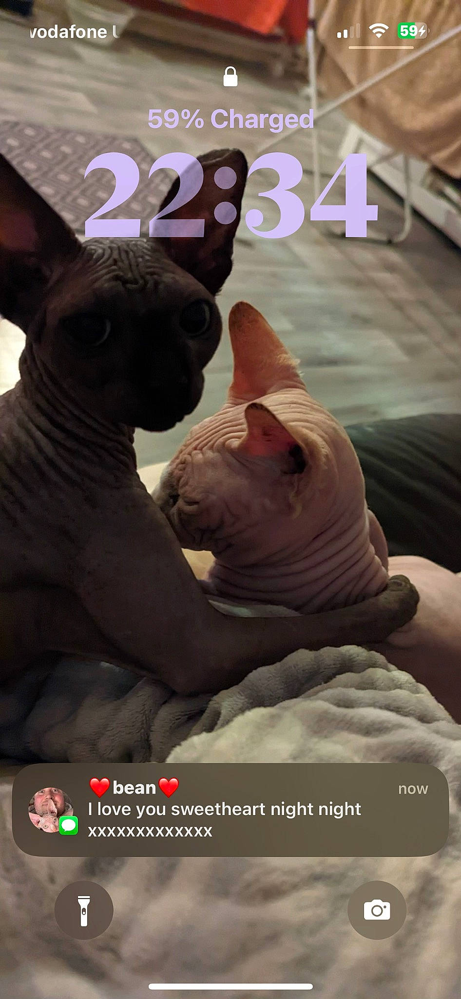 Karma is registered to the contest to win money with this photo: art, fawn, felidae, font, fur, gesture, happy, logo, mammal, monument, photo_caption, photography, sculpture, snout, statue, t_shirt, terrestrial_animal, whiskers