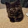 Salem