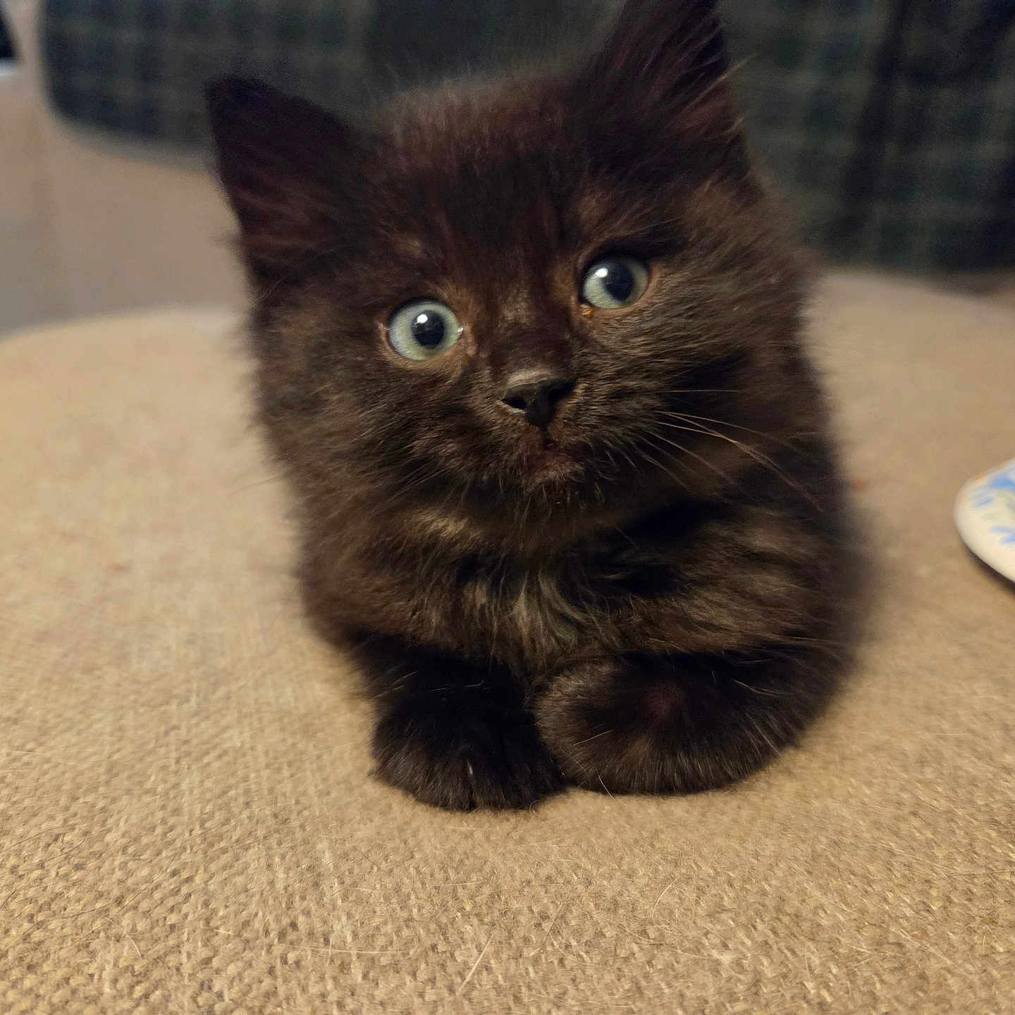 Salem
