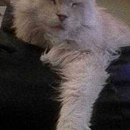 Djebel a rejoint le concours — aidez-le/la à gagner de superbes lots !