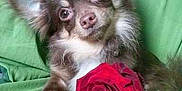 Beuno participe au concours pour gagner de l'argent avec cette photo :