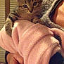 Chico participe au concours pour gagner de l'argent avec cette photo :