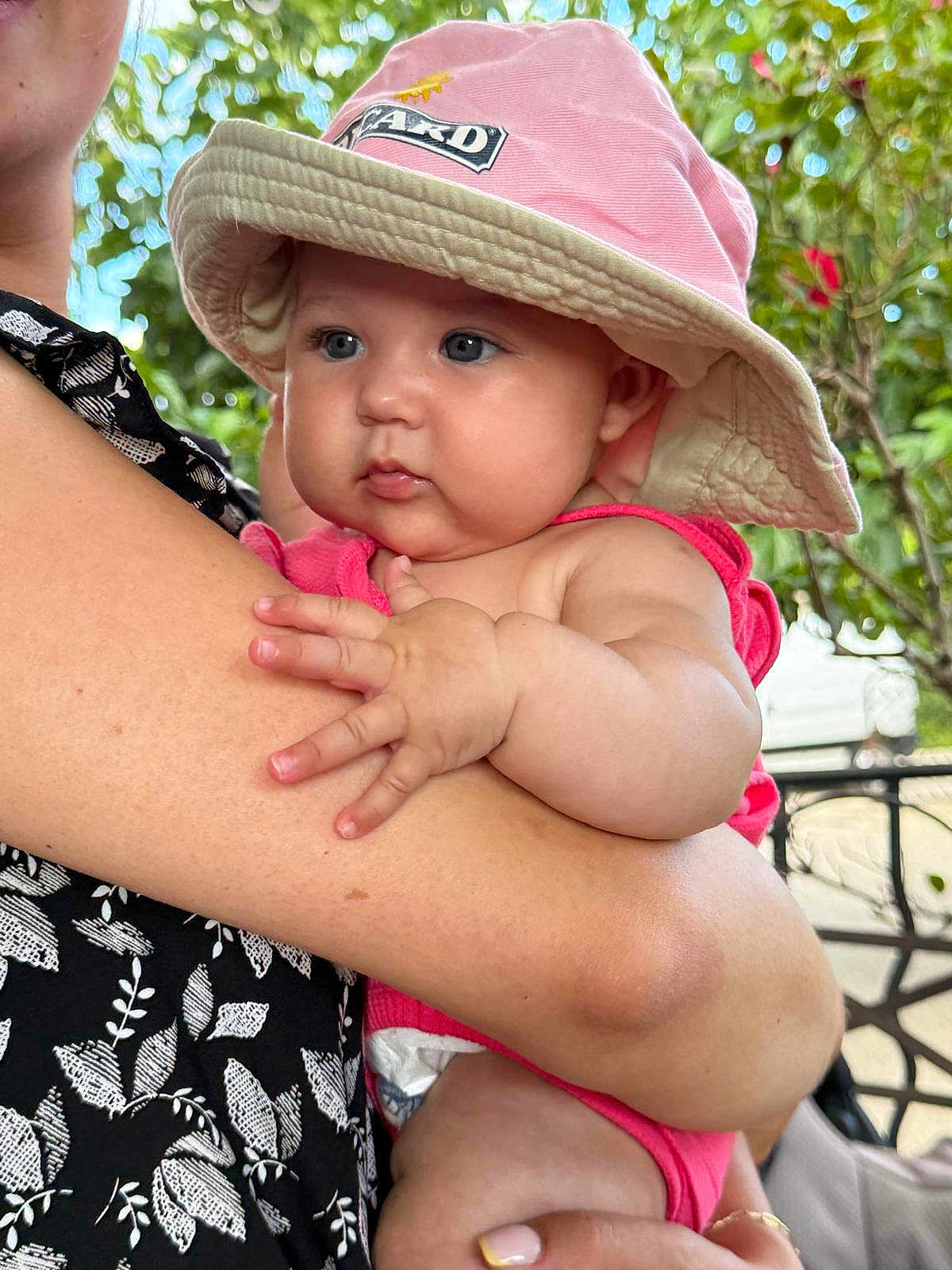 Elena participe au concours pour gagner de l'argent avec cette photo : baby, child, person, hat, pink, arm, hand, skin, outdoor, nature, leaf, greenery, holding, closeup, cute, infant, summer, sunhat, portrait, casual