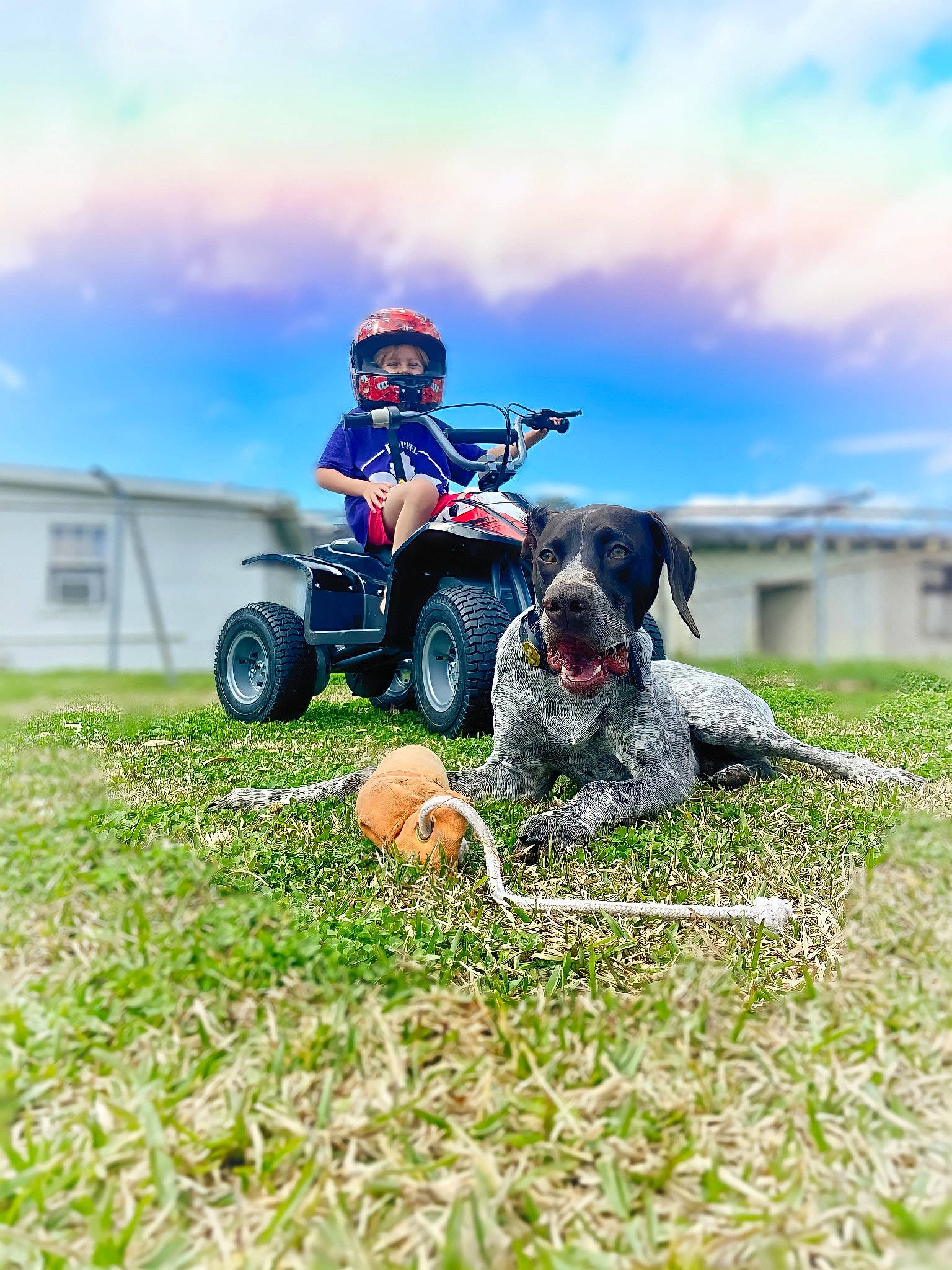 Finn joined the competition — help win amazing prizes! automotive_tire, carnivore, cloud, dog, dog_breed, grass, grassland, helmet, landscape, meadow, outdoor_recreation, personal_protective_equipment, recreation, sky, sports, sports_equipment, tire, toy, vehicle, wheel