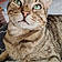 Jasper