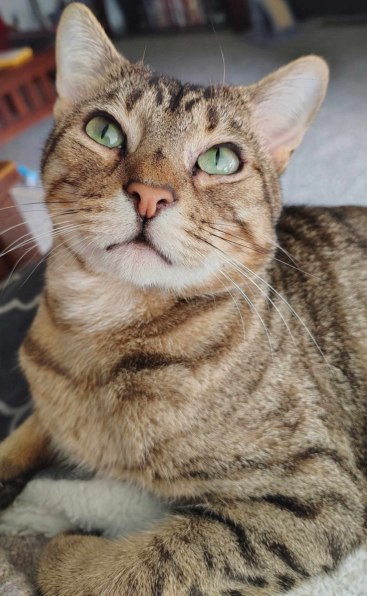 Jasper