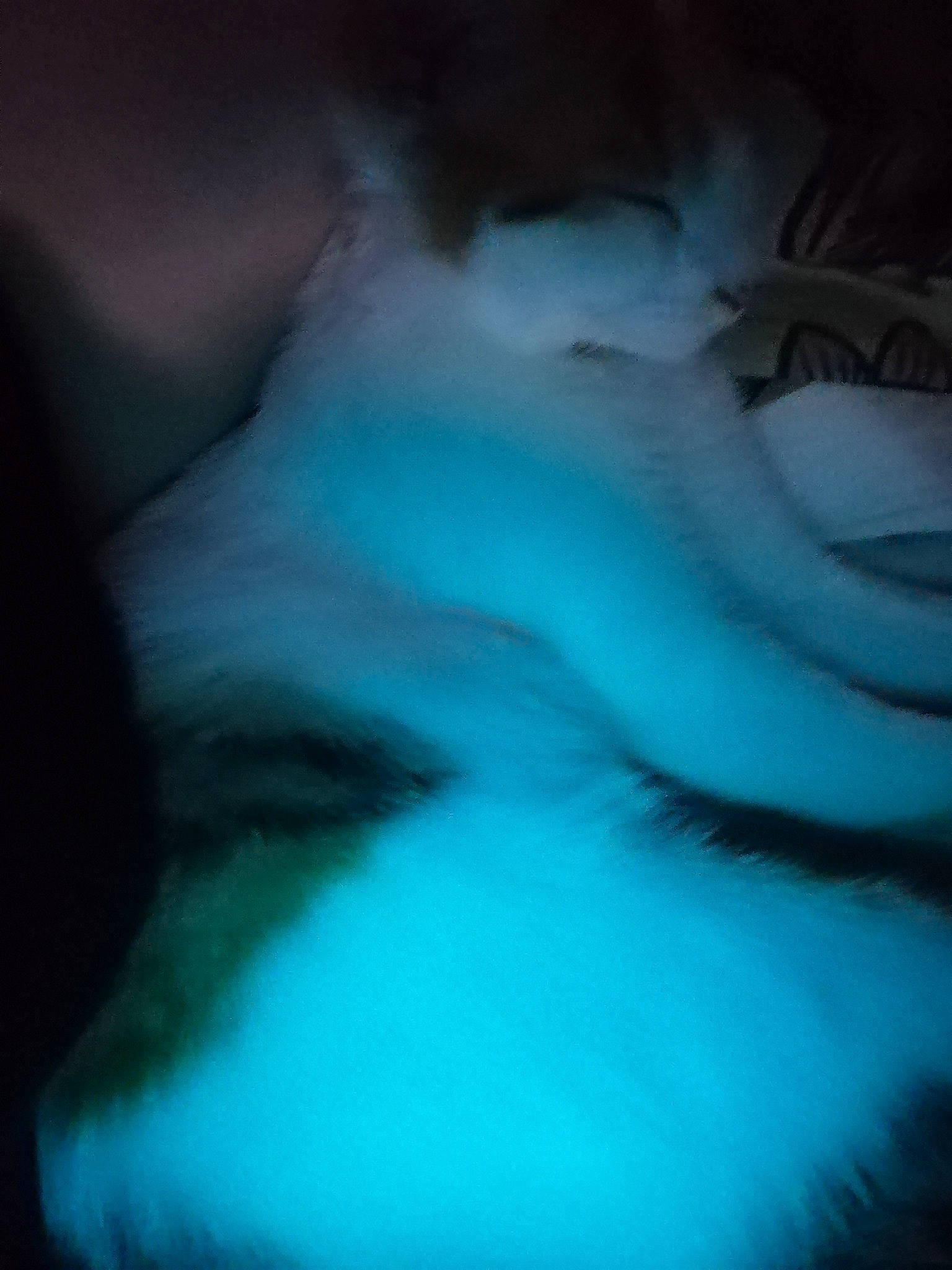 Bella a rejoint le concours — aidez-le/la à gagner de superbes lots ! blue, darkness, electric_blue, glacial_landform, mouth, sky, turquoise, water