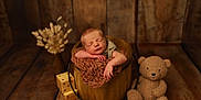 Gabriel participe au concours pour gagner de l'argent avec cette photo : baby, baby_pose, child, cozy, cute, decor, dried_flowers, indoors, infant, knitted_blanket, newborn, portrait, rustic, sleeping, soft_lighting, teddy_bear, warm_colors, wooden_blocks, wooden_bucket, wooden_floor