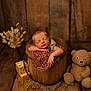 newborn, baby, sleeping, wooden_bucket, knitted_blanket, teddy_bear, wooden_blocks, dried_flowers, rustic, cozy, cute, infant, portrait, indoors, warm_colors, soft_lighting, baby_pose, wooden_floor, decor, child