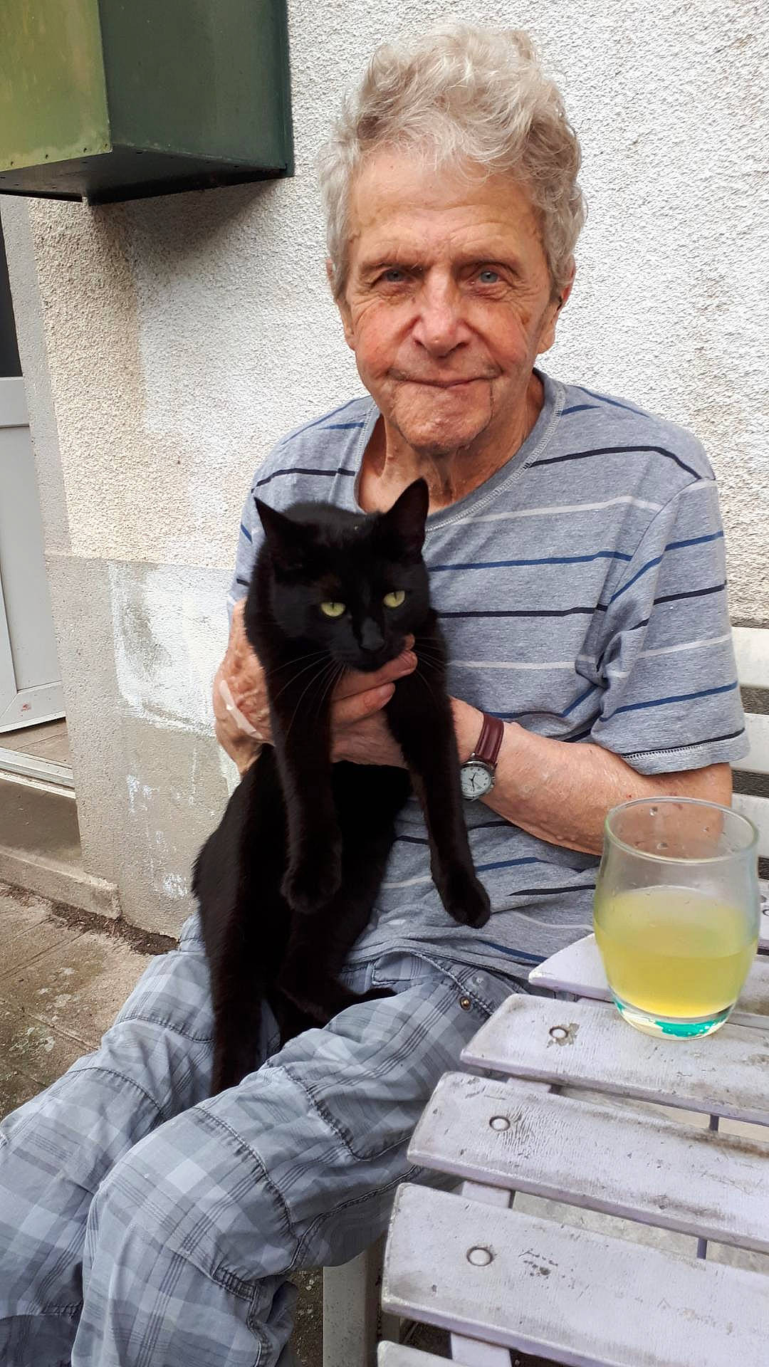 Plume a rejoint le concours — aidez-le/la à gagner de superbes lots ! beard, black_cat, bombay, carnivore, cat, cocktail, felidae, gesture, hand, head, juice, lap, sitting, small_to_medium_sized_cats, sunglasses, t_shirt, table, tableware, whiskers, wine_glass