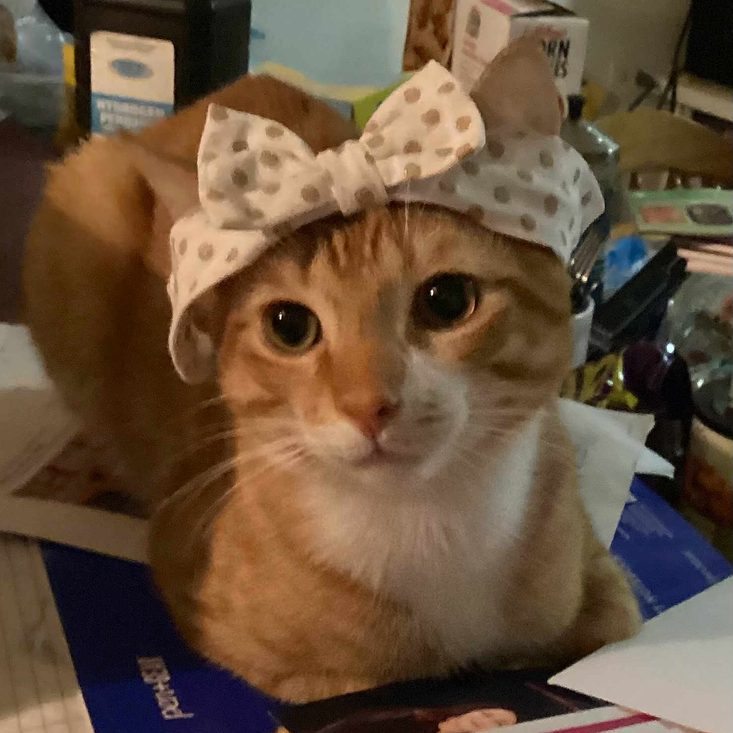 Charlie