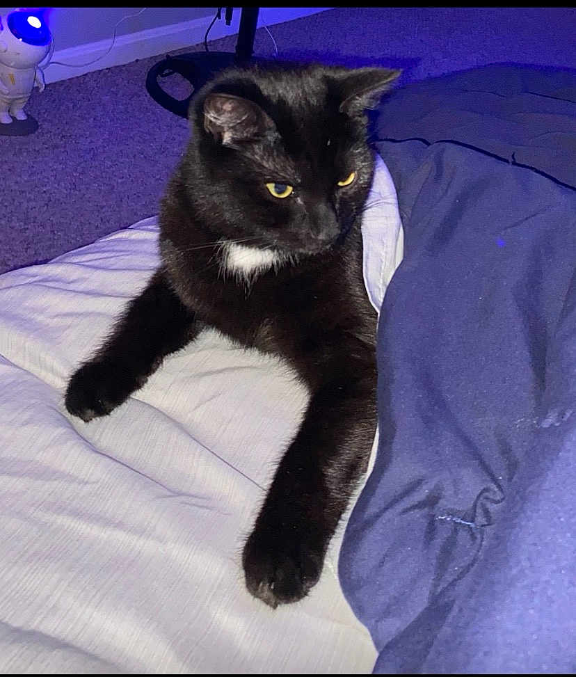 Freyja