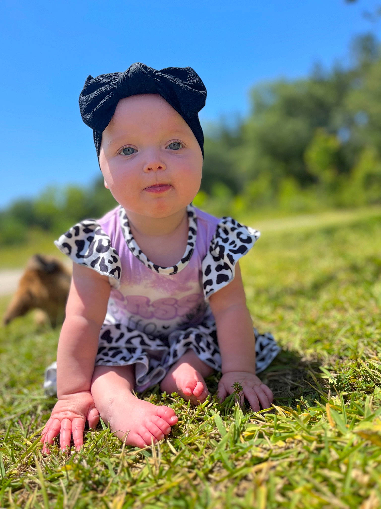 Adalynn is registered to the contest to win money with this photo: baby, baby_toddler_clothing, cap, child, face, flash_photography, fun, grass, grass_family, grassland, happy, hat, headwear, landscape, meadow, people_in_nature, person, plant, sitting, sky