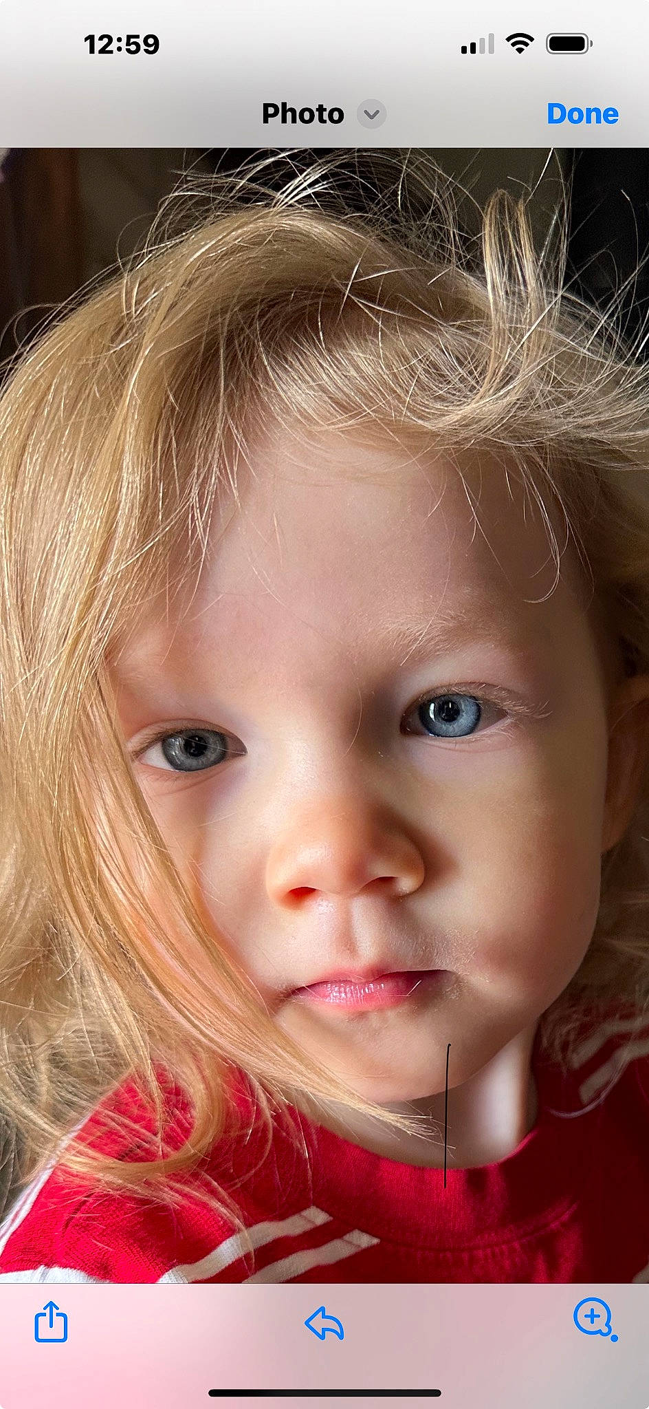 Finnley joined the competition — help win amazing prizes! cheek, chin, ear, eye, eyebrow, eyelash, face, flash_photography, forehead, grass, hairstyle, happy, human_body, iris, lip, mouth, nose, person, skin, toddler
