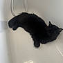 cat, black_cat, bathtub, indoor, pet, animal, feline, resting, relaxed, fur, whiskers, ears, sleeping, shadow, white, smooth_surface, quiet, cozy, domestic, comfort